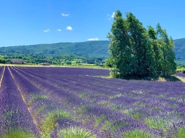 Bastide Du Buou Apartment Puyvert ภายนอก รูปภาพ